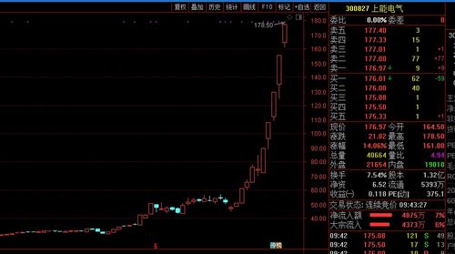 無視風險提示 資金瘋狂追捧 上能電氣10個交易日漲270